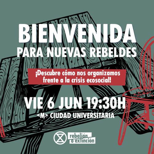 💚 DESCUBRE EL ACTIVISMO CLIMÁTICO 🦜