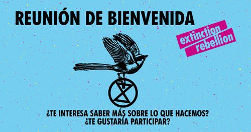 Extinction Rebellion España.