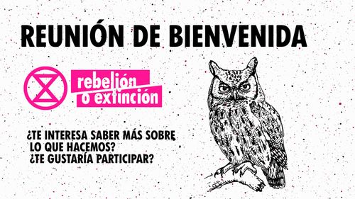 Bienvenida Extinction Rebellion España. 