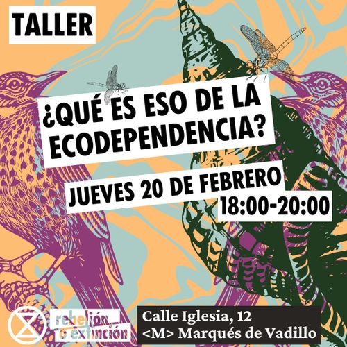 Taller: ¿Qué es eso de la ecodependencia?