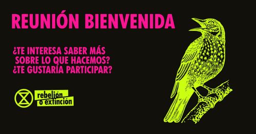 Reunión de Bienvenida a Rebelión o Extinción (Extinction Rebellion) ⏳