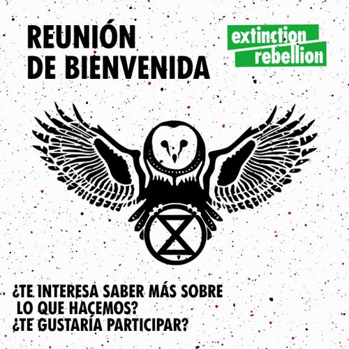Reunión de Bienvenida