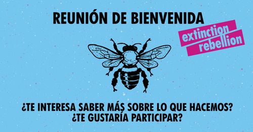 Bienvenida Online - Extinction Rebellion España. 