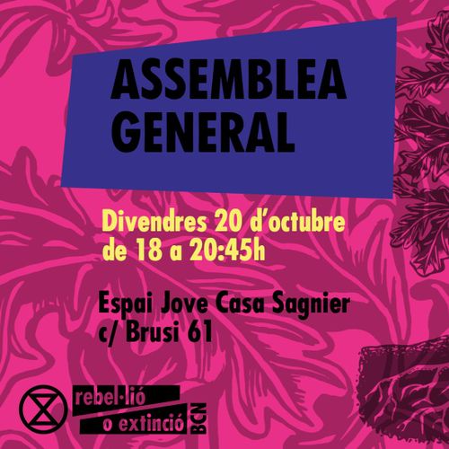 Assemblea general