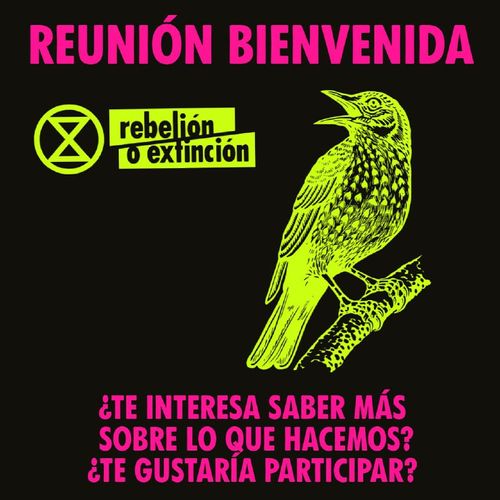 Bienvenida Extinction Rebellion España 