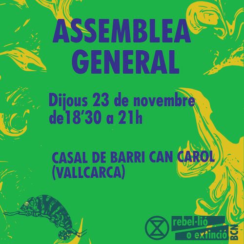 Assemblea general