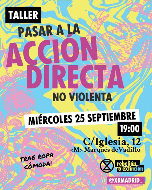 Taller Acción Directa NoViolenta