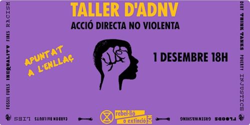 Taller d'Acció directa no violenta